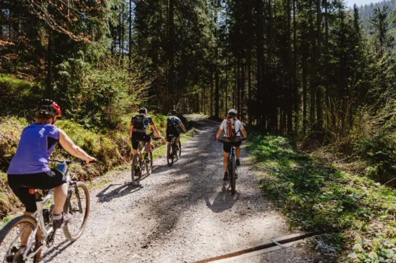 Cyklisti na lesnej cyklotrase medzi ihličnatými stromami